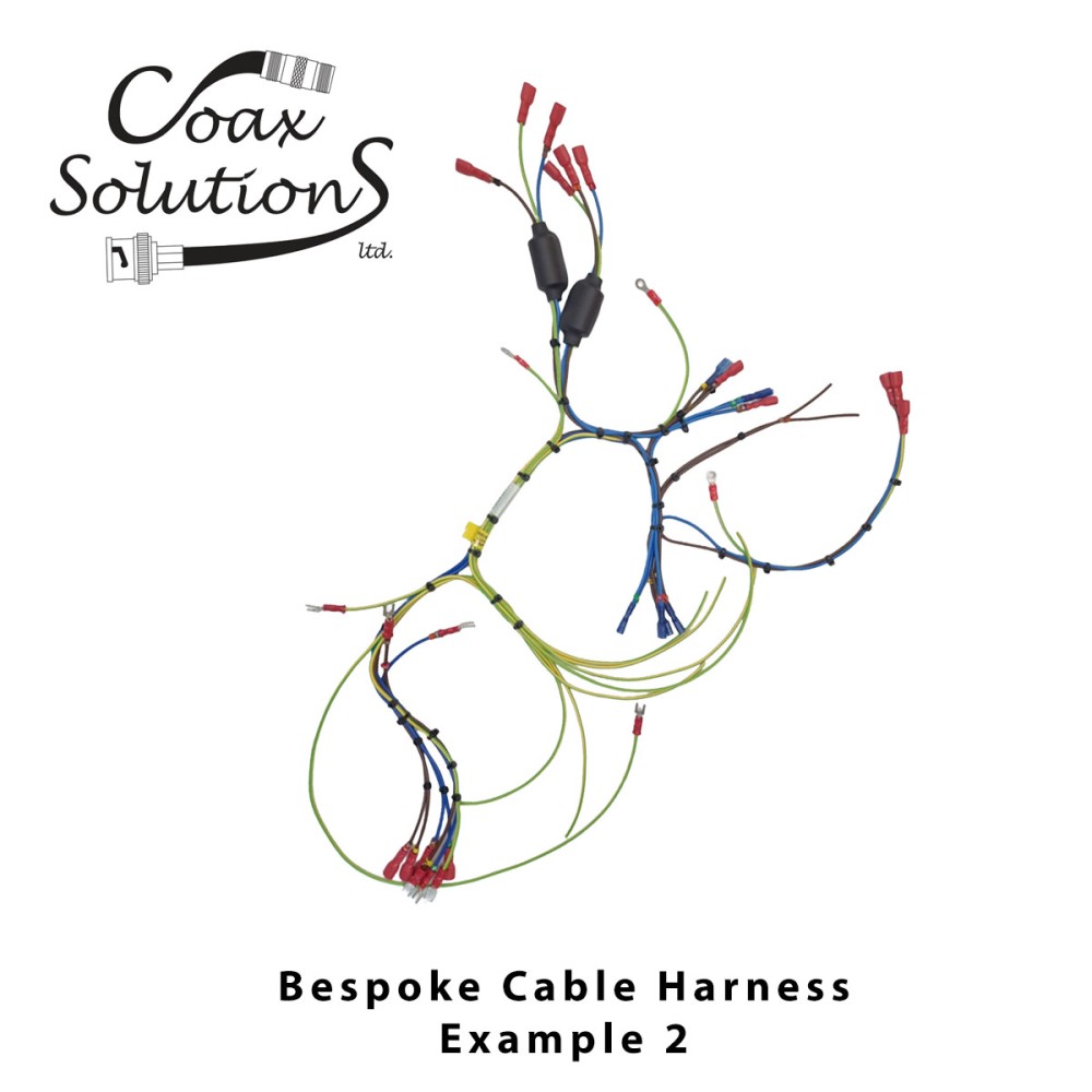 Bespoke Cable Harness - Example 2