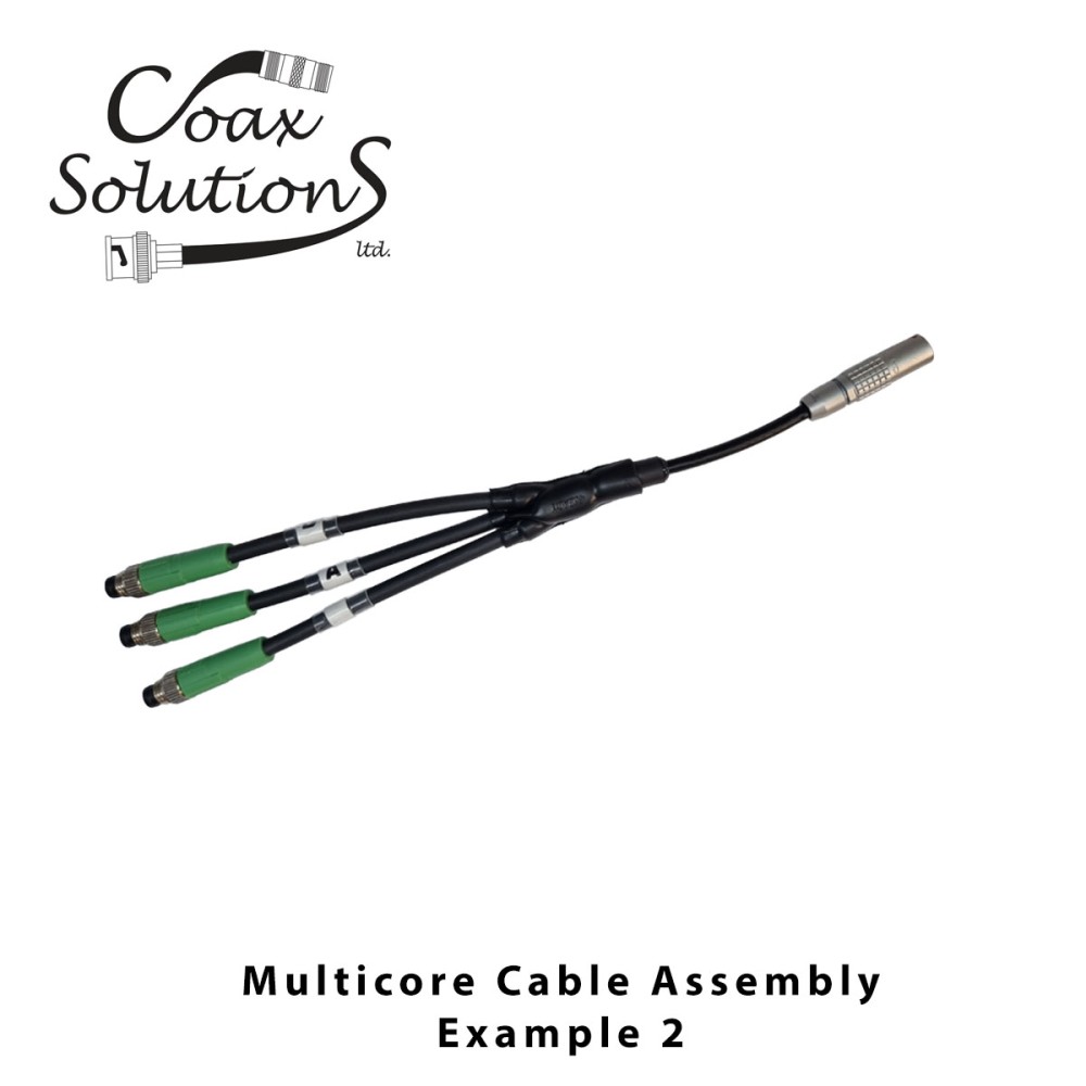 Multicore Cable Assembly - Example 2